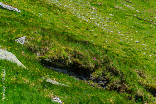 Mittersill in den österreichischen Alpen photo