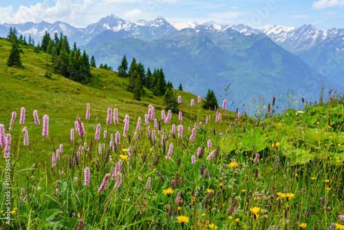 Mittersill in den österreichischen Alpen photo