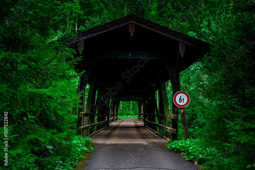 Hiking through the Giessenbach Gorge in Bavaria Germany photo