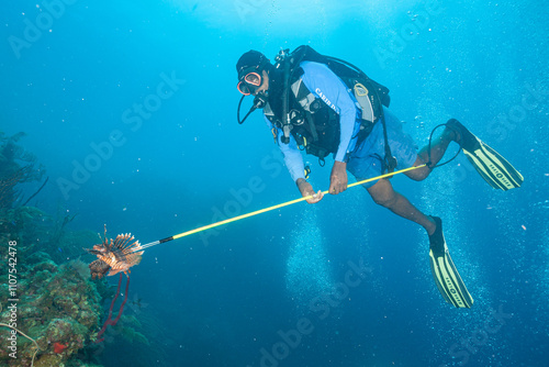 Obraz na płótnie Belize Barrier Reef, the second largest coral reef system in the world, Lionfish