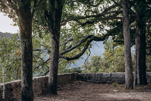 Surroundings of the Saint-Andre chapel in Orris de la Roquebrussanne photo