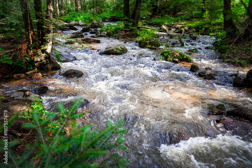 Hiking along Otterbach in the Otterbach Valley in the Bavarian Forests. Germany.