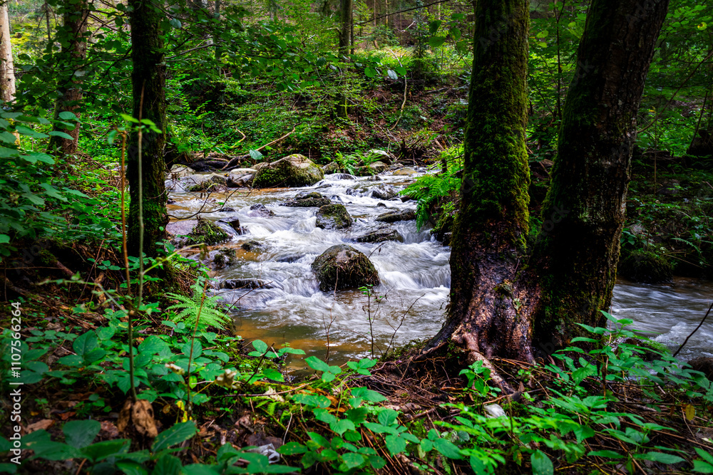 Fototapeta premium Hiking along Otterbach in the Otterbach Valley in the Bavarian Forests. Germany.