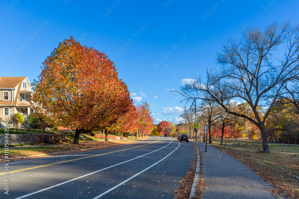 Naklejka premium Scenic autumn view of Charles River Road in Watertown, Massachusetts, USA 