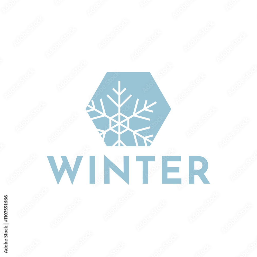 Fototapeta premium Winter snowflake logo. Snowflake logo illustration.
