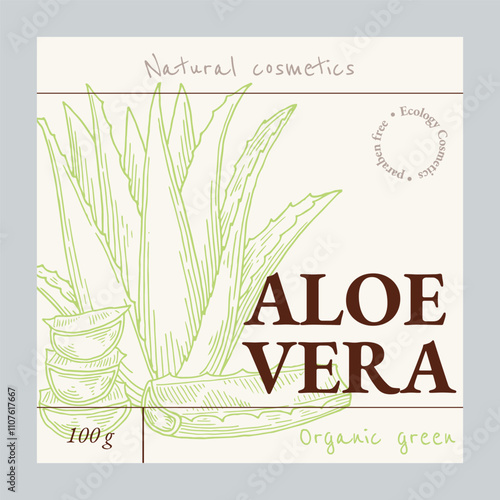Aloe vera emblem template. Natural cosmetics ingredient. Hand drawn ink sketch plant from package design. Ecology concept in beauty industry. Vector illustration.