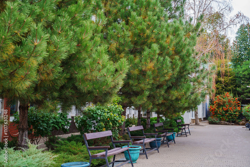 A small park with benches and trash cans on the territory of the church. A place for the parishioners of the church to rest. photo