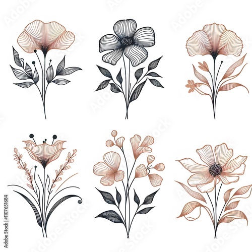 vector floral image 
