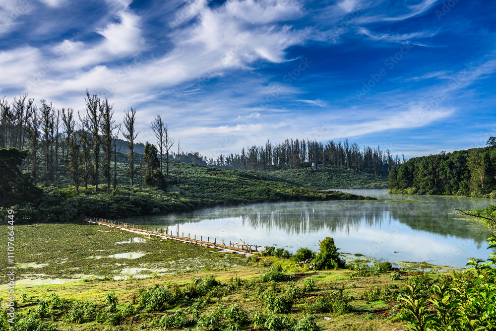 Fototapeta premium landscape