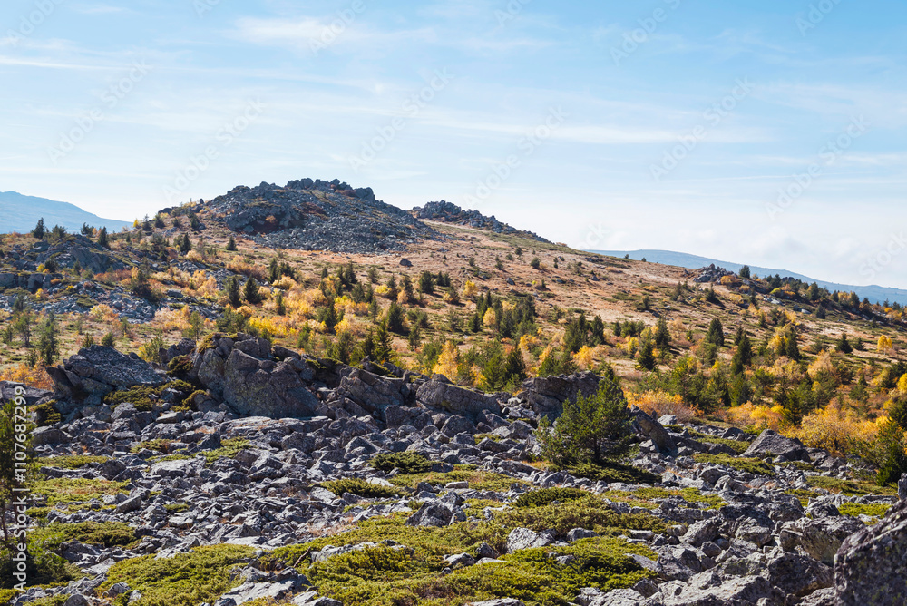 Autumn Mountain Landscape . Vitosha Mountain ,Bulgaria Autumn Mountain Landscape . Vitosha Mountain ,Bulgaria