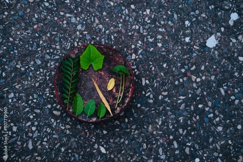 green leaf under the pot with floor texture background photo