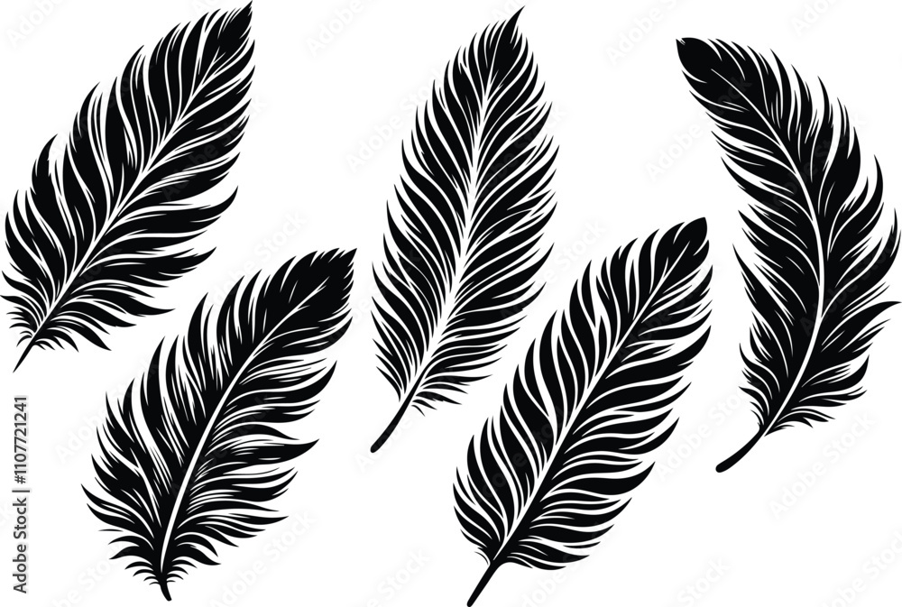 Obraz premium feather Soft plume Silhouette Vector Illustration