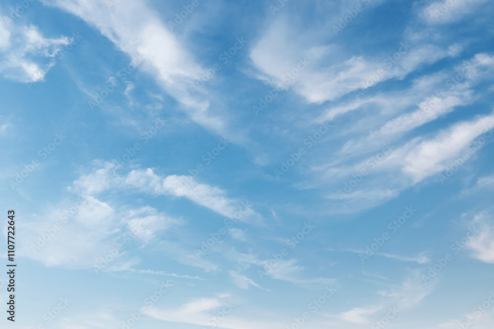 Fototapeta premium sky is blue and clear with no clouds
