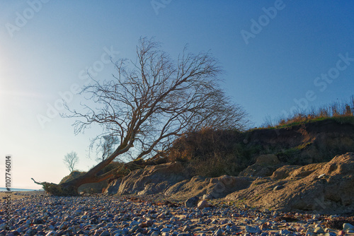 Küstenlandschaft