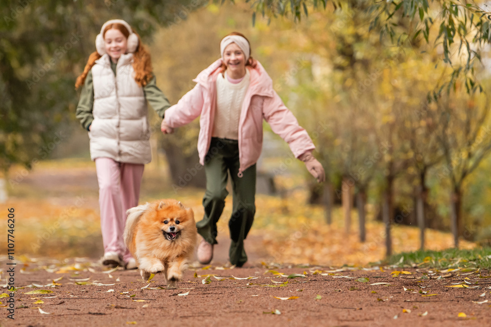 Fototapeta premium Two happy sister girls run along the path of an autumn park with their pet dog Pomeranian Spitz