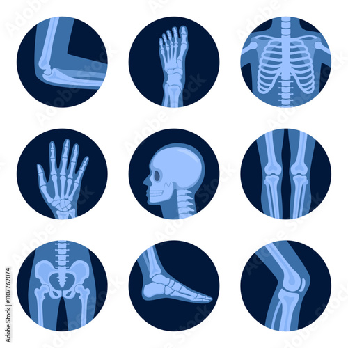 XRayBonesRound-01.eps