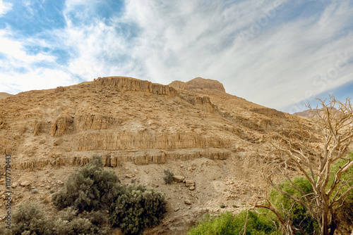 Wadi Arugot National Park is a desolate rocky landscape photo