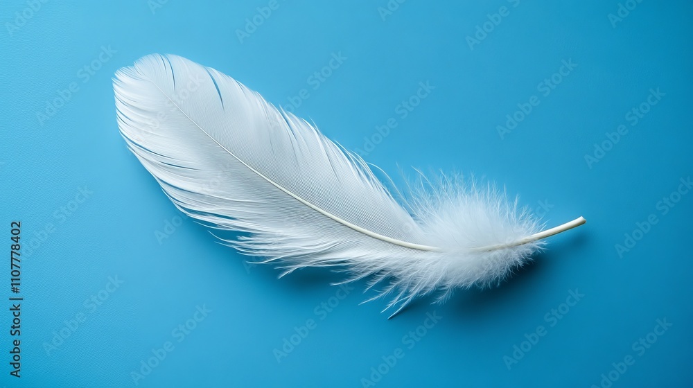 Obraz premium Delicate white feather on a bright blue background