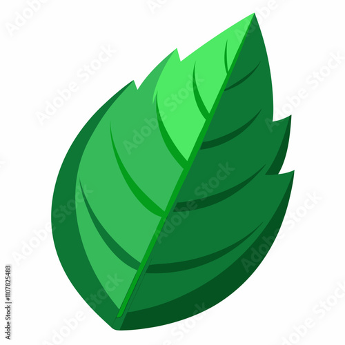 3D Green Leaf Isolated on White Background