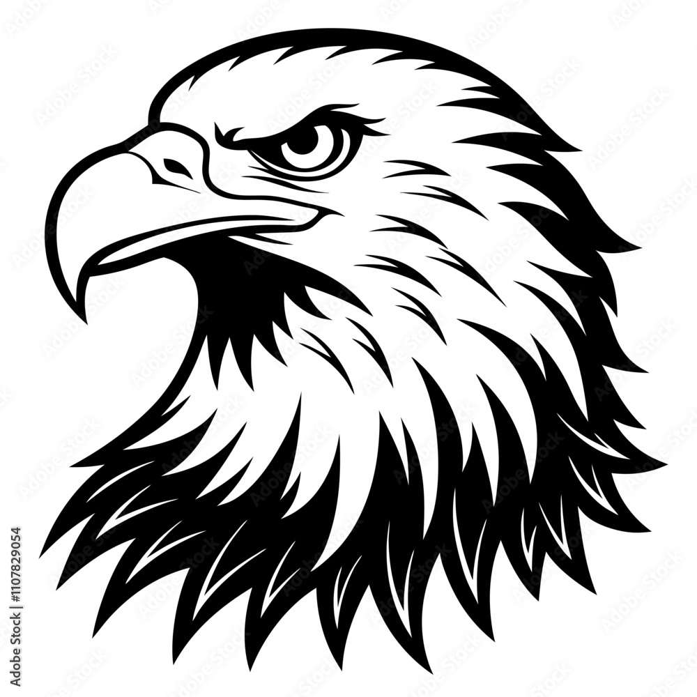 Obraz premium Bald Eagle King of the Perch, White Background.