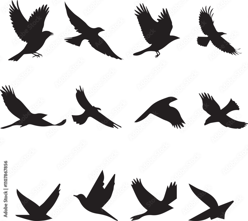 Obraz premium Birds Silhouette Vector Images