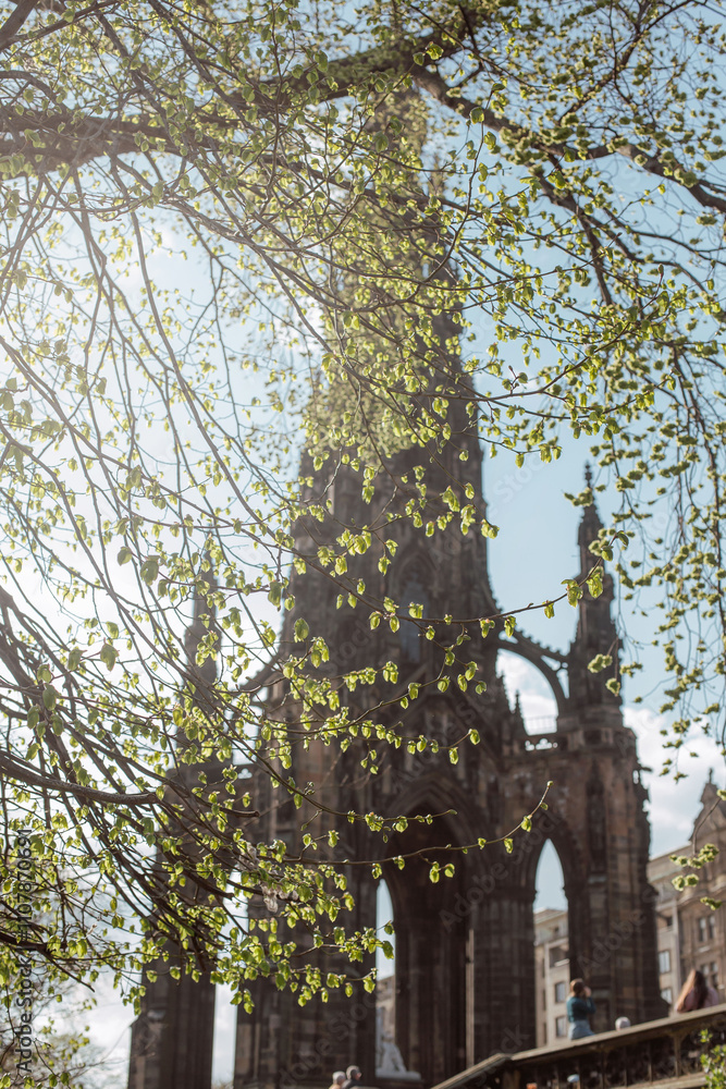 Fototapeta premium Edinburgh's beautiful streets with flowering trees in April