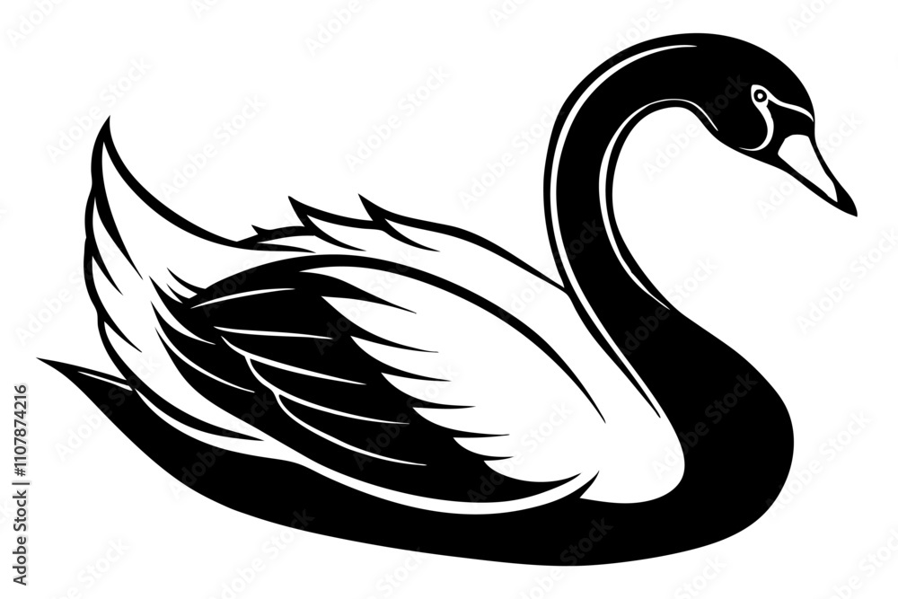 Fototapeta premium black and white swan