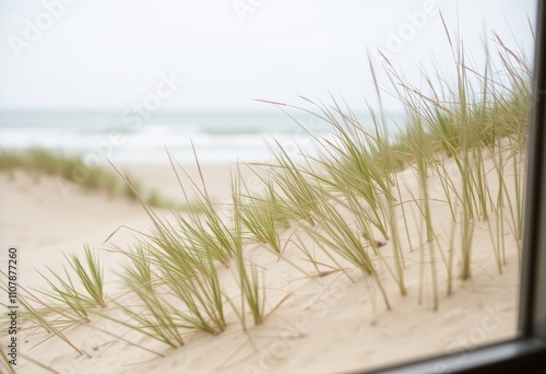 Beachside Dune A close up of sand dunes with sea grass seen thro photo