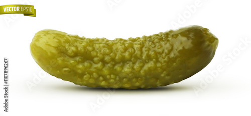 Vector realistic illustration of a marinated pickle on a white background.