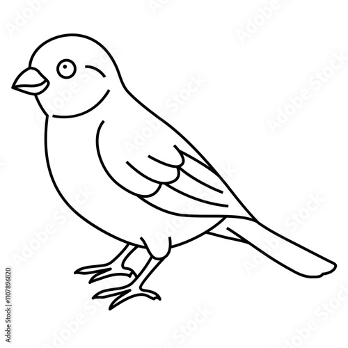 Canary