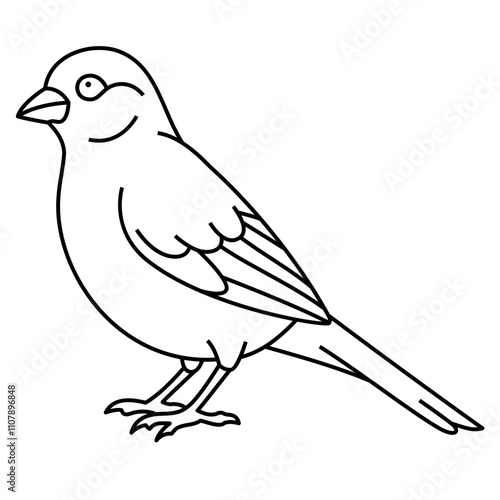 Canary