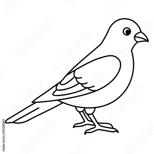 Canary