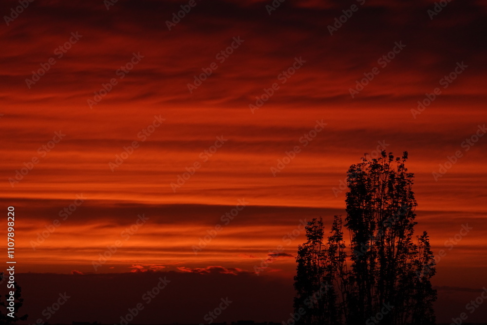 Obraz premium sunset in the sky