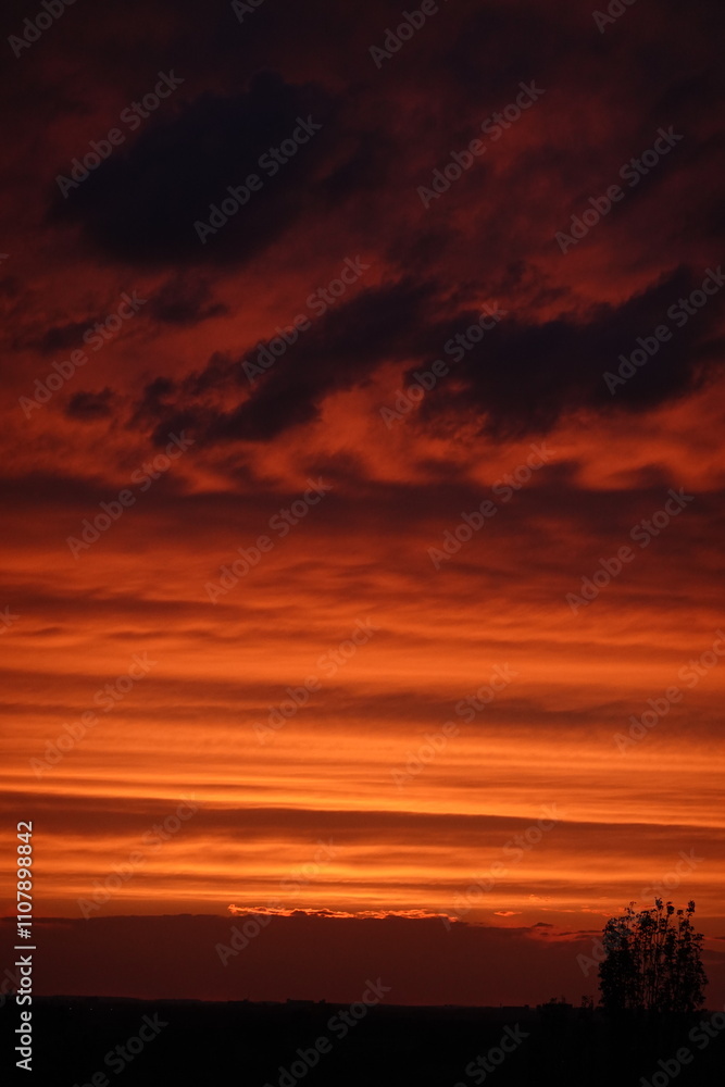 Obraz premium sunset in the sky