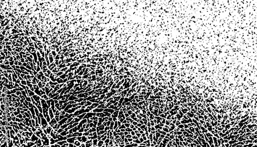 Smooth transition of grunge pattern with diagonal ways. Black isolated on white background. Vector Format Illustration 