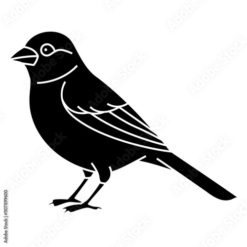 Canary