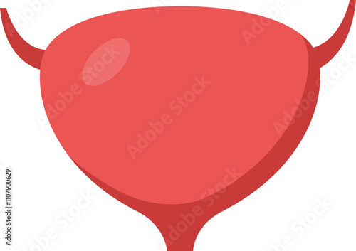 Medical illustration showcasing the human bladder storing urine, highlighting its role in the urinary system and overall health maintenance, depicted in a simple and informative style