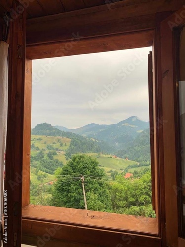 view from window