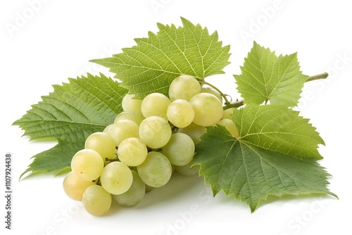 bunch of green grapes isolated