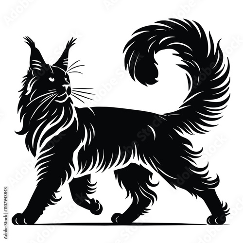 Maine Coon Cat Silhouette Walking