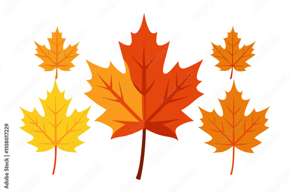 Fototapeta premium maple leaves isolated on white