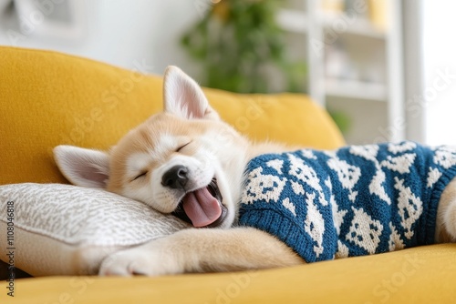 Sleeping puppy in blue sweater on yellow sofa, home setting, illustrating coziness and relaxation. photo