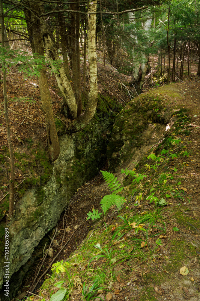 Fototapeta premium Mystery Valley Earth Cracks 2024-6