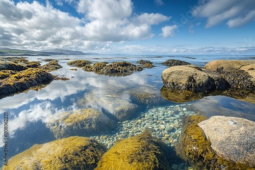 Serene coastal landscape with clear water and algae-covered rock photo