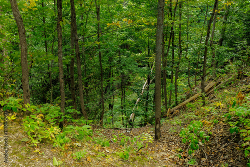 Stevens Twin Sinkhole (2024) photo