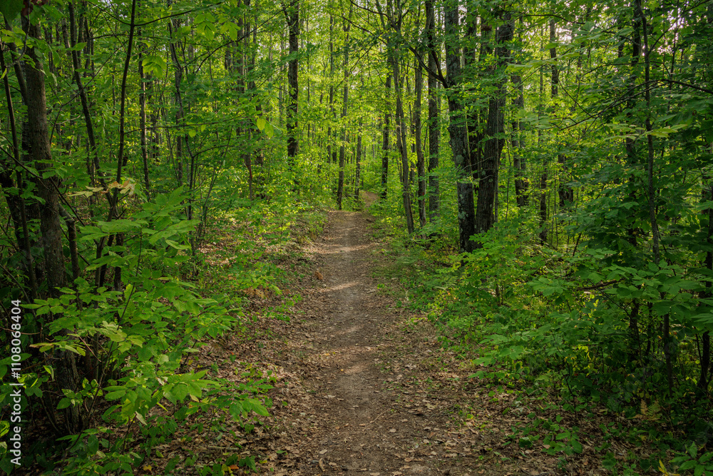 Fototapeta premium Chippewa Hills 2024-1