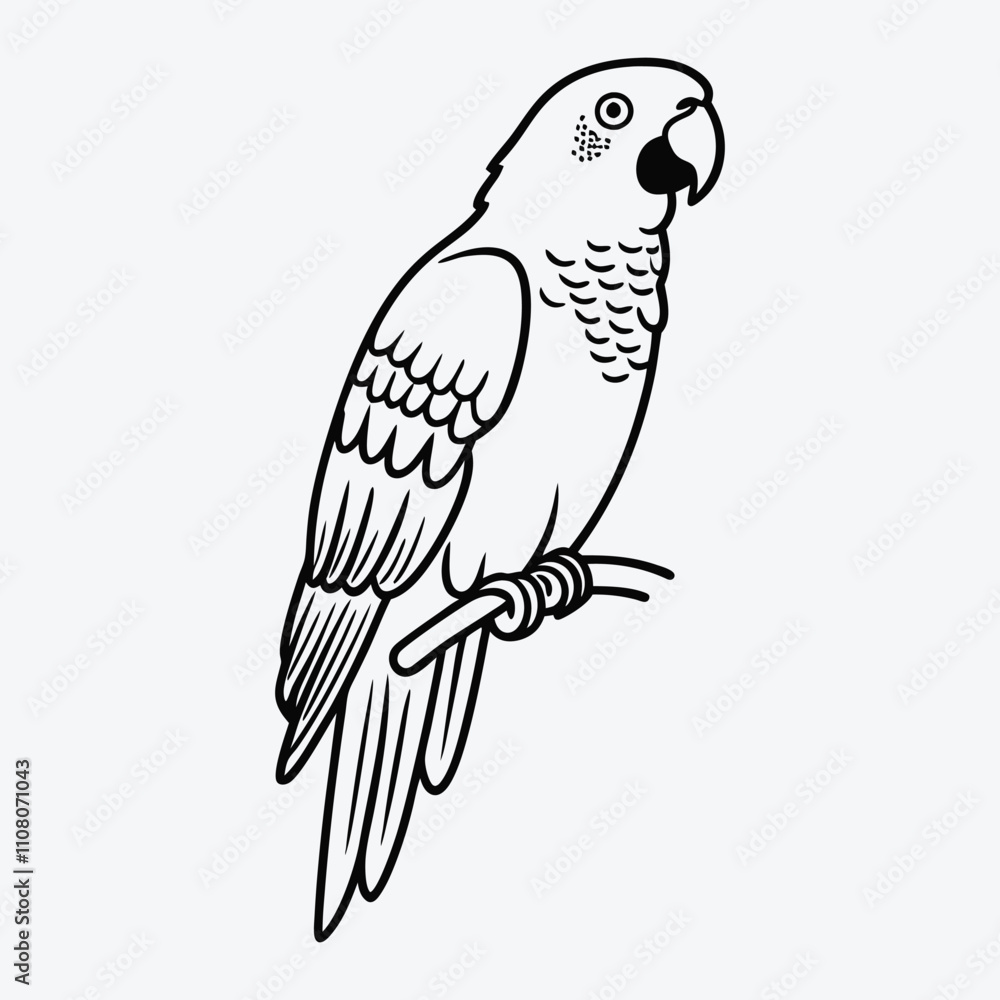 Fototapeta premium African Grey Parrot line art White background illustration Generative Ai