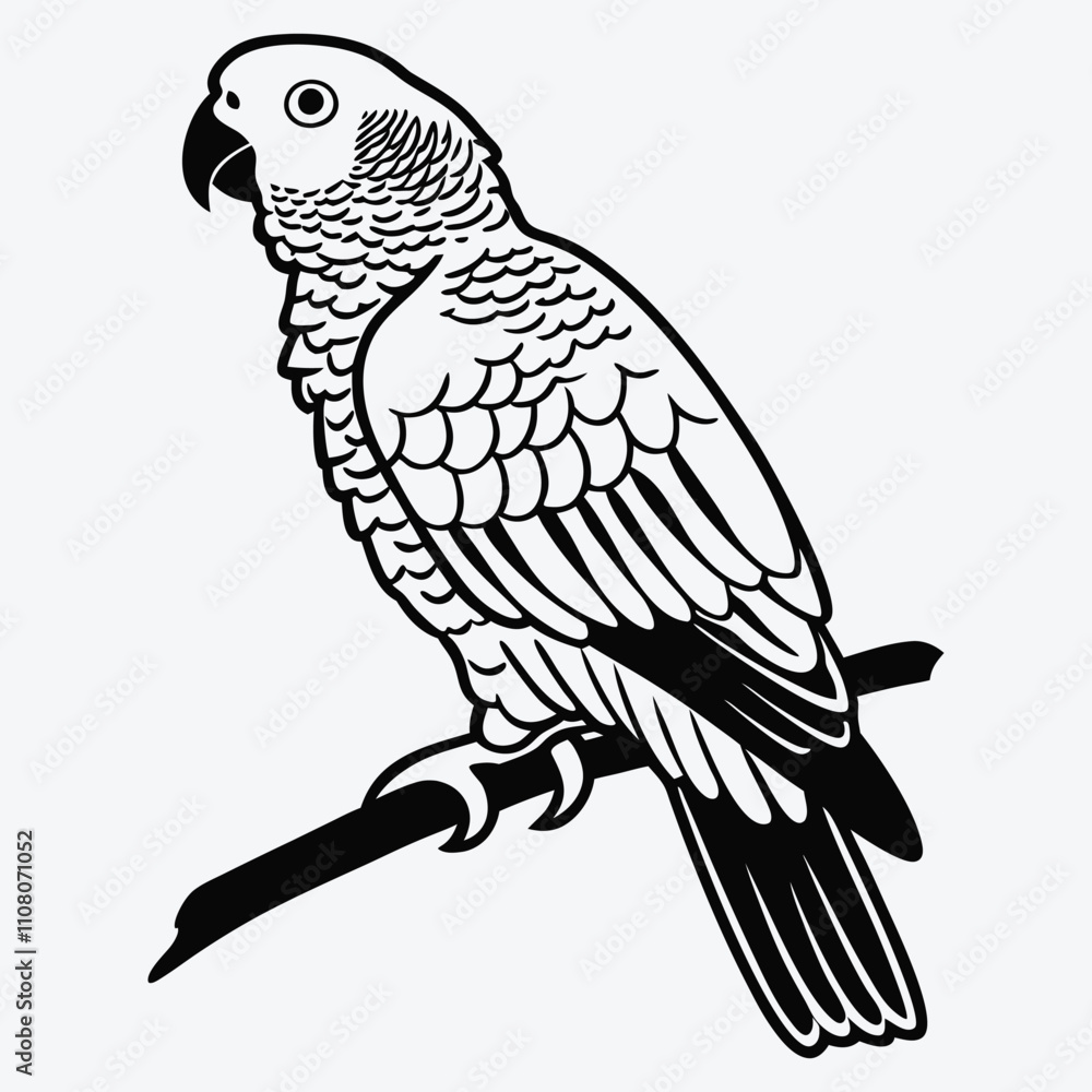 Fototapeta premium African Grey Parrot line art White background illustration Generative Ai