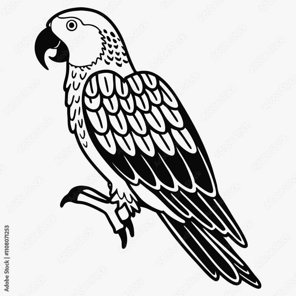 Fototapeta premium African Grey Parrot line art White background illustration Generative Ai