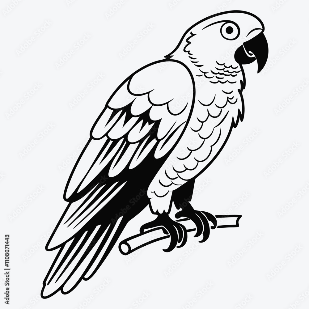 Fototapeta premium African Grey Parrot line art White background illustration Generative Ai